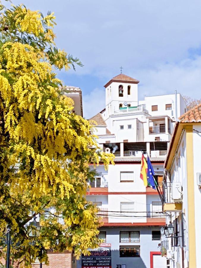 El Almendro De Maruja Appartement Torviscón Buitenkant foto