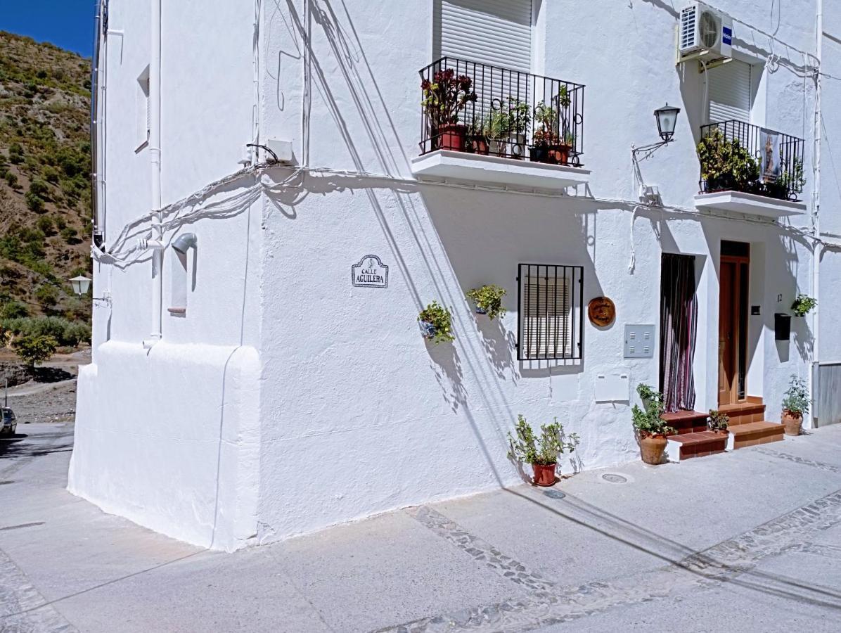 El Almendro De Maruja Appartement Torviscón Buitenkant foto